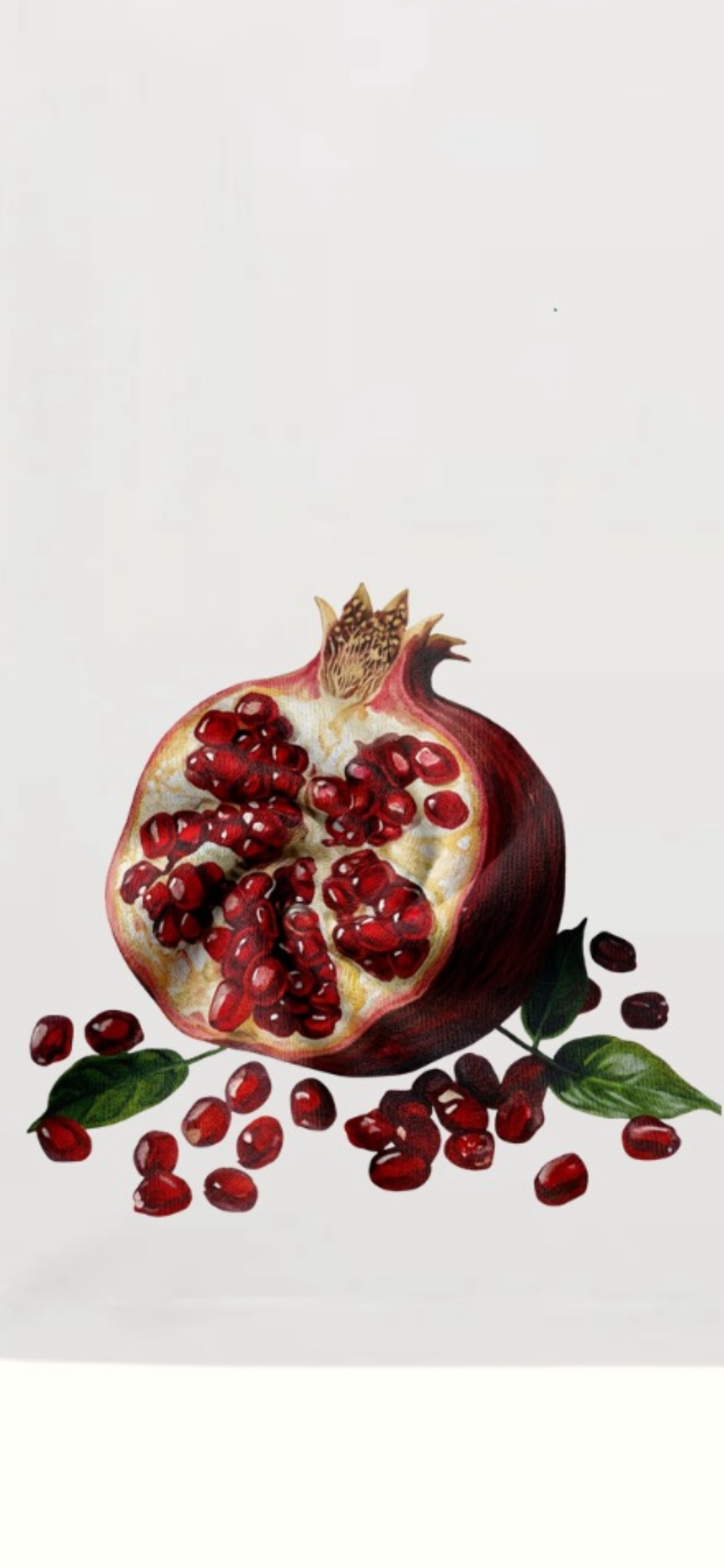 The Pomegranate T-Shirt