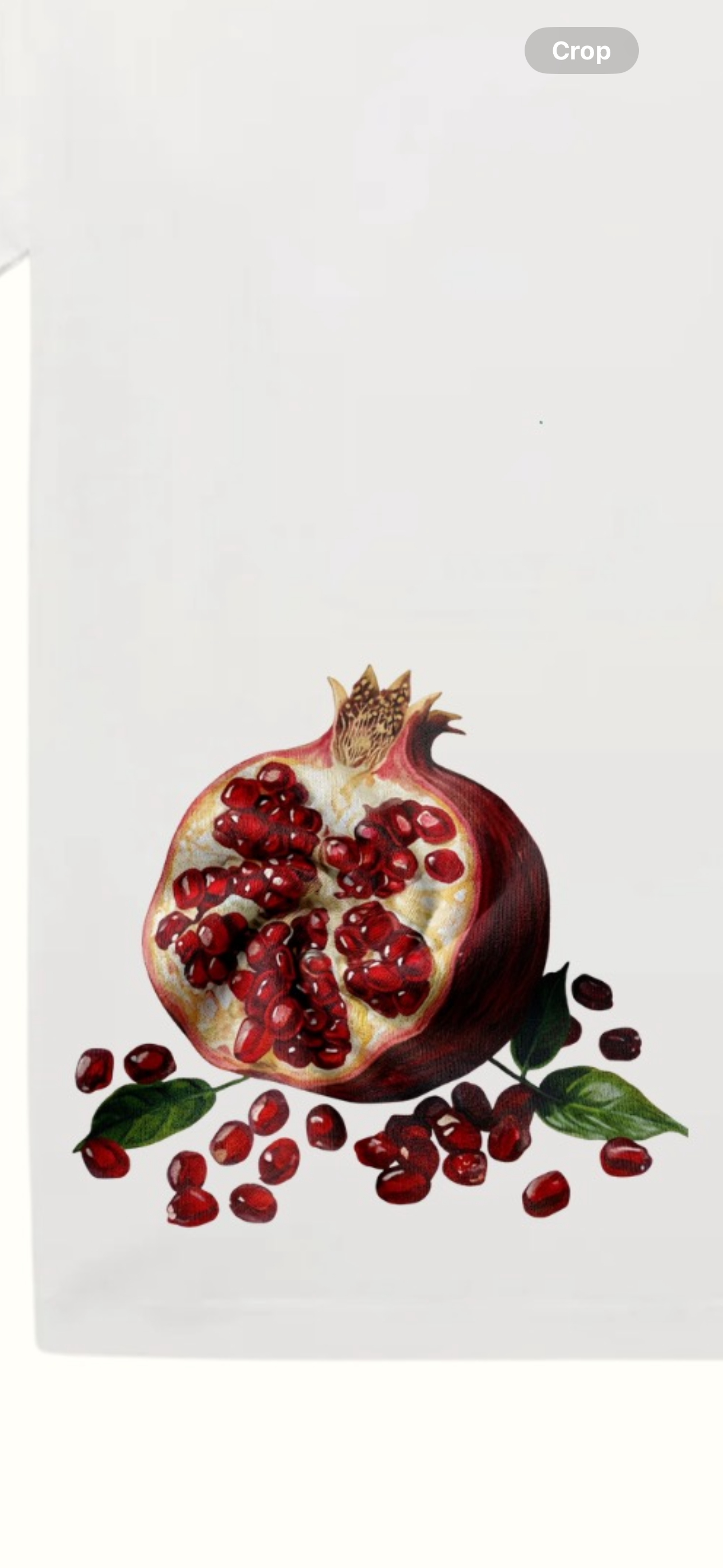The Pomegranate T-Shirt