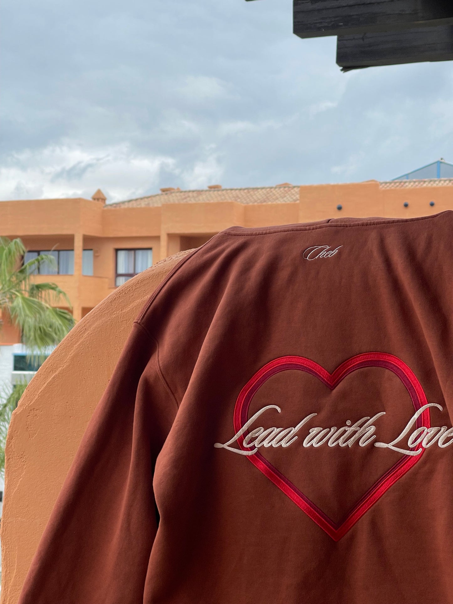 Lead with Love Hoodie